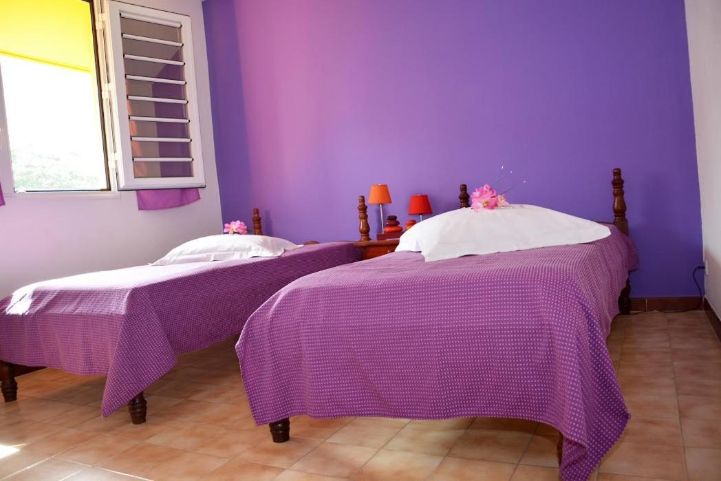 Residence De Vacances Mon Refuge - Bungalow De Type T3 Grande Anse Buitenkant foto