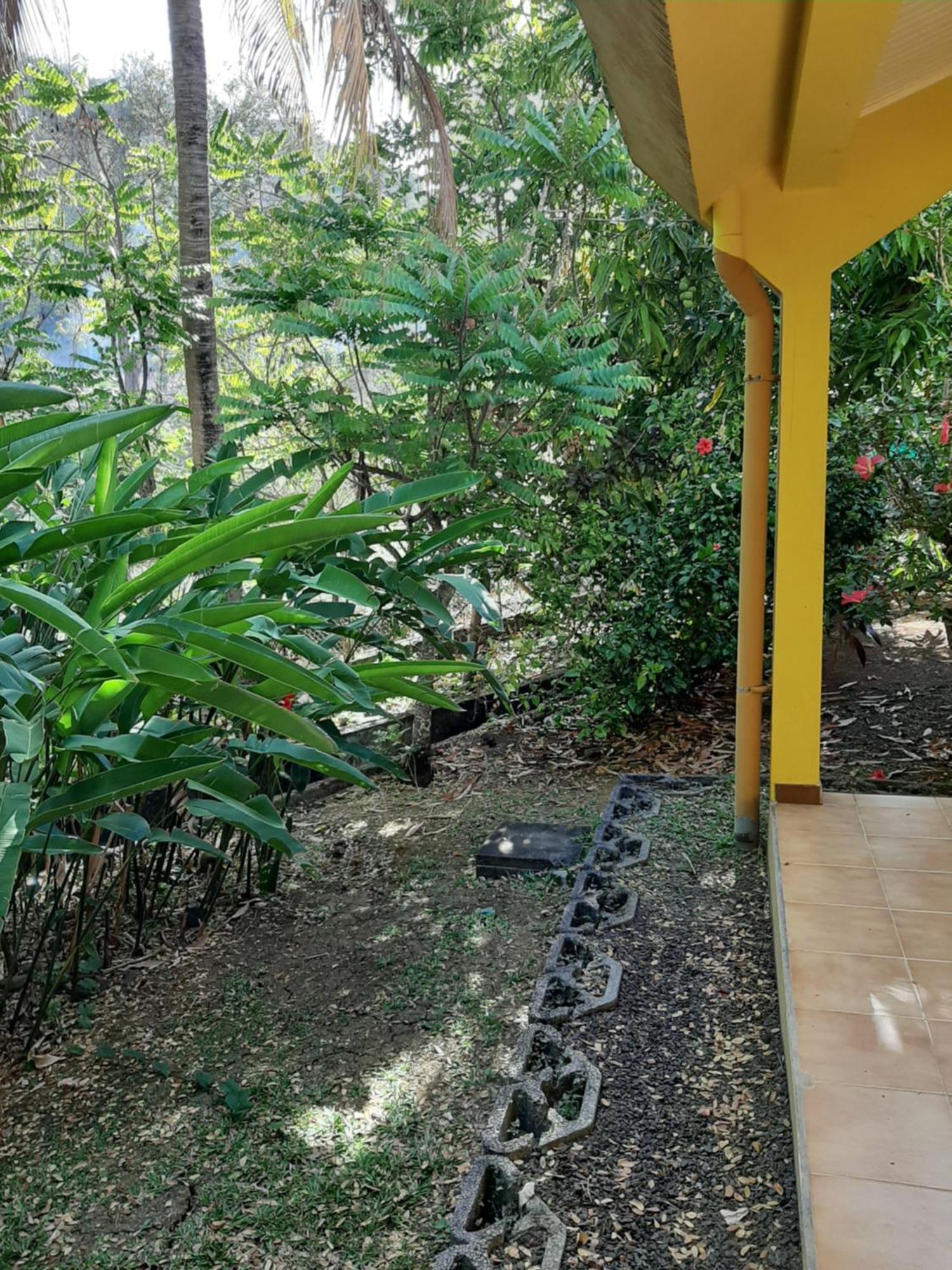 Residence De Vacances Mon Refuge - Bungalow De Type T3 Grande Anse Buitenkant foto